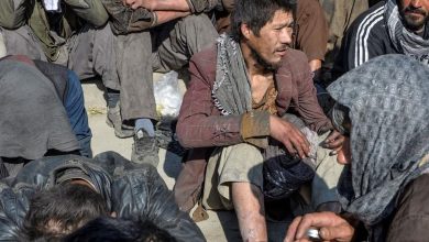 برعاية طالبان... أفغانستان تغرق في المخدرات والإرهاب