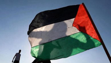 قمة شرم الشيخ.. خبراء فلسطينيون يستبعدون تنفيذ التزامات الاجتماع لماذا؟