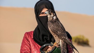 عائشة المنصوري.. إماراتية تعشق رياضة الصيد بالصقور