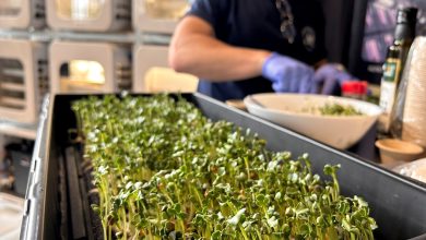 إنتاج الطعام في الفضاء العميق.. ناسا تخطط لتجربة جديدة