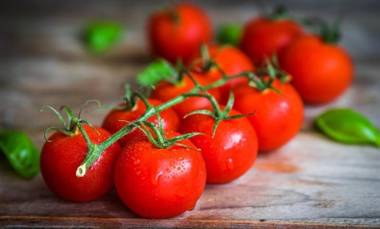 فوائد الطماطم.. تحسين الحالة المزاجية والحفاظ على سلامة القلب
