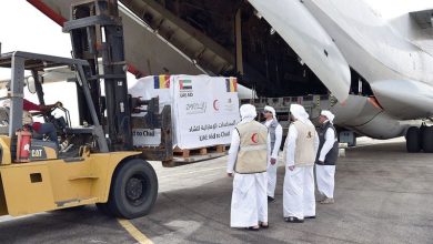 الإمارات.. وصول طائرة مساعدات إلى تشاد لمساندة اللاجئين السودانيين