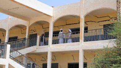 التشاد.. جهود إماراتية في إعادة تأهيل المدارس في منطقة أمدجراس