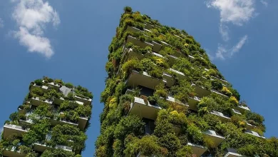 هندسة معمارية تنتصر للاقتصاد الأخضر