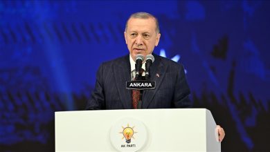 أردوغان: نرفض وقوع قتلى من المدنيين الإسرائيليين