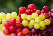 العنب يُحسن صحة العين لدى كبار السن