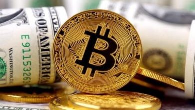 بيتكوين تقود الهبوط الكبير في الكريبتو