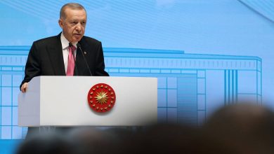 دعوة أردوغان لدستور جديد غير صادقة.. التفاصيل