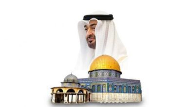 الإمارات تواصل تقديم الدعم والحماية لغزة: استمرار الجهود