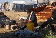 الأمل والألم يتنازعان فلسطين في اليوم الـ80 لحرب غزة