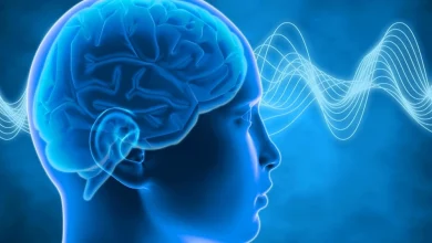الأصوات تعلم الدماغ التعامل مع المفاجآت