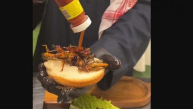 برغر الجراد في السعودية (فيديو)