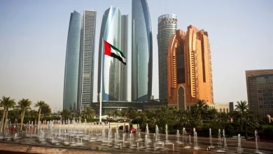 استهداف الذباب الإلكتروني للإمارات.. ما علاقة الإخوان؟
