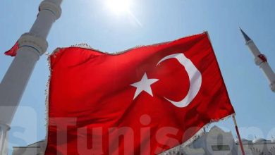 الإخوان يتاجرون بالجنسية التركية..ما القصة؟