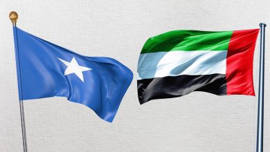 الإمارات.. سنستمر في مواجهة الإرهاب من أجل السلام بالصومال