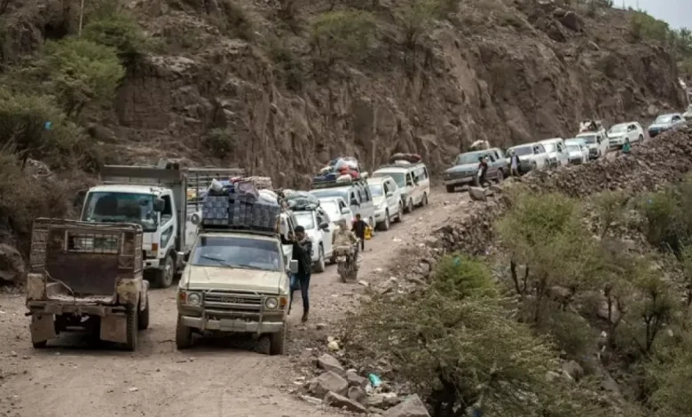 بالأرقام جرائم وانتهاكات الحوثيين والإخوان في تعز