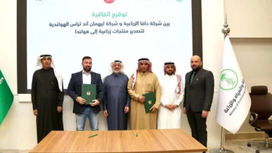 للمرة الأولى السعودية تصدّر الخضار إلى هولندا (صور)