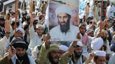 بداية نهاية «القاعدة» و«قطف الرؤوس» في ذكرى مقتل بن لادن
