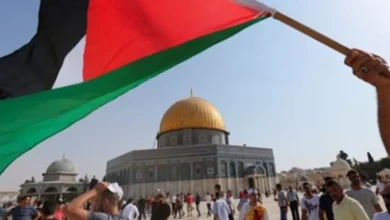 جماعة الإخوان يتاجرون بالقضية الفلسطينية