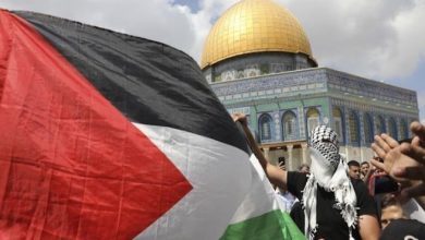 مخططات الجماعات الإرهابية لاستغلال القضية الفلسطينية