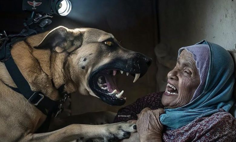 صورة من غزة تغزو مواقع التواصل: العجوز والكلب