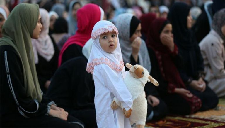 عيد بلا عيد.. الأضحى في غزة بلا لحوم