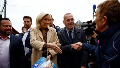قبل الانتخابات.. لوبان البرلمانية تدعو لحكومة وحدة وطنية
