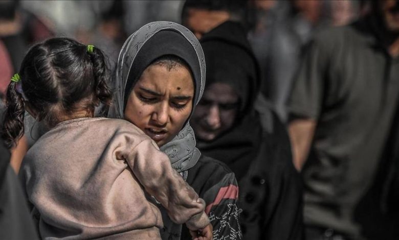 مأساة غزة بعيون أممية