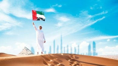 الإمارات.. ديبلوماسية ناجحة ورسالة سلام في 4 ركائز