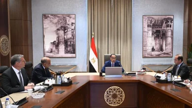 الحكومة المصرية تطلق حلولاً مؤقتة لتخفيف أزمة الكهرباء