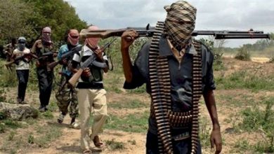 حرية تداول السلاح وتسلل العناصر الإرهابية: تفاقم الإرهاب في القارة الإفريقية
