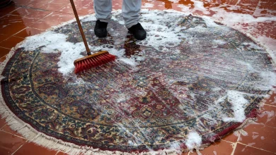بسبب سجادة.. وفاة أم وطفليها بالأردن