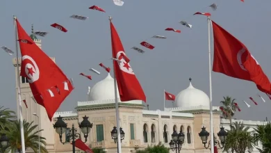 «ذباب أزرق» وشائعات متزايدة.. إخوان تونس يعلنون «الطنين»