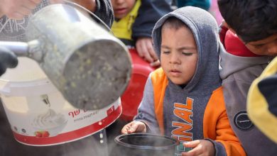 شركة أمن أميركية في غزة.. مبادرة إسرائيلية لضبط توزيع الإغاثة