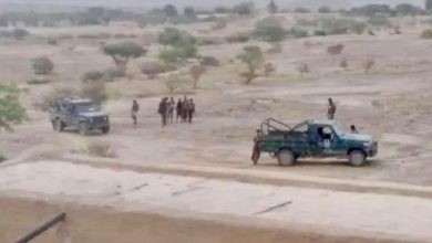 قبائل الجوف تحت النار.. عيب أسود جديد في سجل الحوثيين