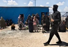 مخاوف دولية تتجدد: معسكرات الهول وروج بيئة خصبة لنمو أشبال داعش