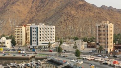 توسع واسع في الوثائق العقارية والمشاريع.. الشارقة تحتضن نموًا مستدامًا
