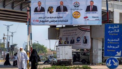 انتخابات مجلس الشيوخ المصري بلا مفاجآت مرتقبة