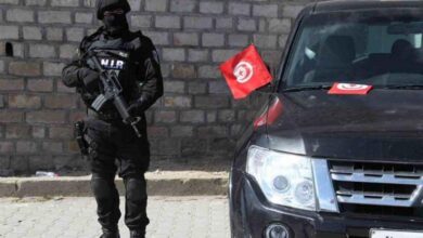 مشاهد صادمة.. امرأة تحرق قططًا في تونس وتثير موجة استنكار