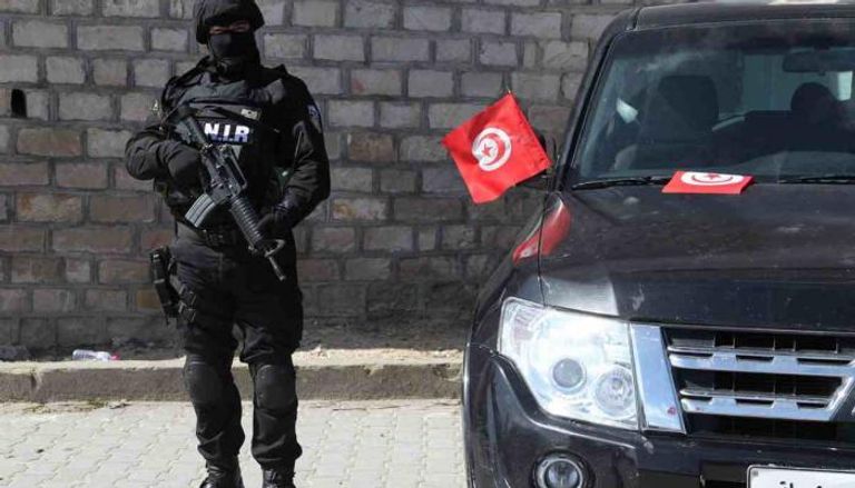 مشاهد صادمة.. امرأة تحرق قططًا في تونس وتثير موجة استنكار