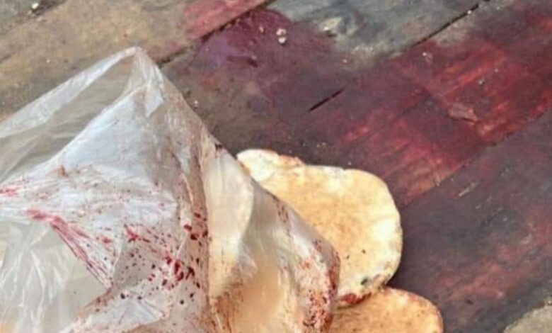 مليط… صرخة الدم والخبز