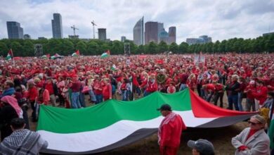 250 ألف صوت في الشوارع.. الهولنديون يرفعون شعار «أوقفوا الحرب الآن»