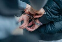 تفاصيل القبض على شخص متهم بتسميم 11 كلبا ضالا في حدائق الأهرام بمصر