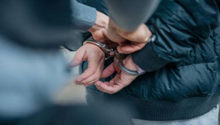 تفاصيل القبض على شخص متهم بتسميم 11 كلبا ضالا في حدائق الأهرام بمصر