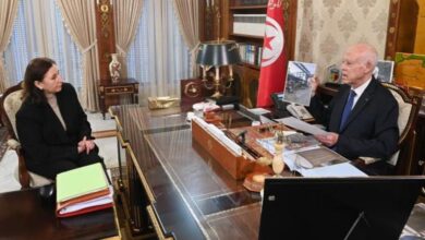 دعوات رئاسية لتطهير المشهد السياسي من شبكات التلاعب الإخوانية