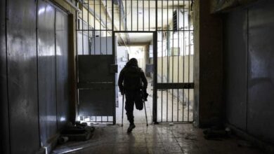 بعد أعوام من الغياب.. صورة في جيب أحد الضحايا تعيد لأم سورية ابنها المفقود