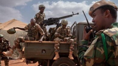 داخل جبهات الصومال.. كيف يطارد الحلفاء فلول الإرهاب في الأدغال؟