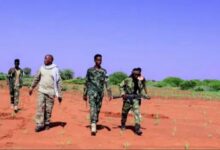 عملية ناجحة للجيش الصومالي تطيح بقيادات «الشباب» في باي وبكول
