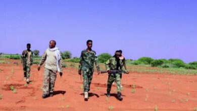 عملية ناجحة للجيش الصومالي تطيح بقيادات «الشباب» في باي وبكول