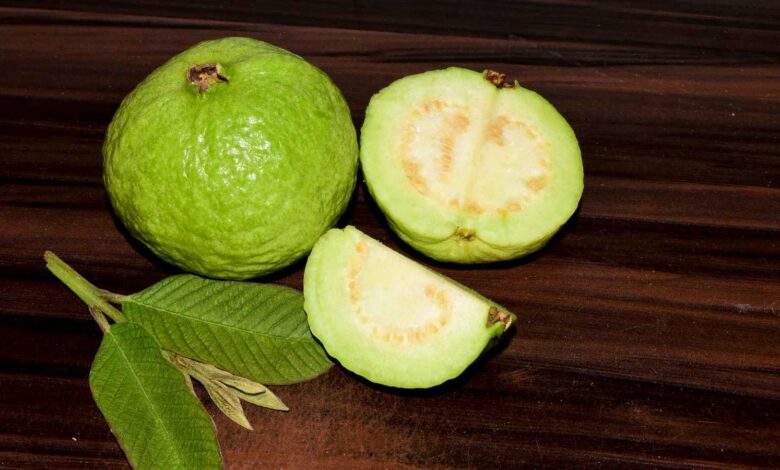 لماذا ينصح الأطباء بتناول الجوافة يوميًا؟ إليك الفوائد المذهلة